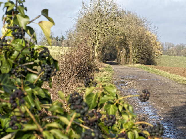 Ulrich simons - Trambaanfietsroute Cadier en Keer